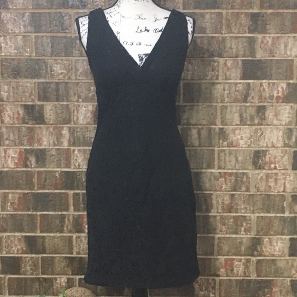 EUC EN FOCUS Lovey Lined, Side Zippered Lace Dress - Picture 2 of 11